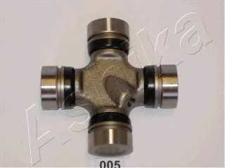 ashika 6600005