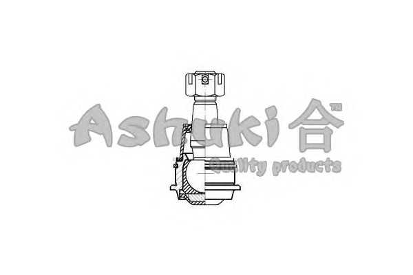 ashuki 14580201