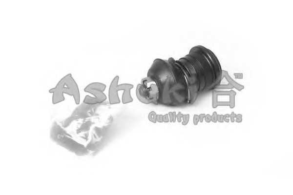 ashuki 14642005