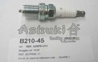 ashuki b21045