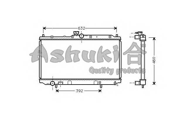 ashuki c55410