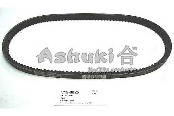ashuki v130825