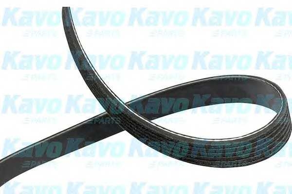 kavoparts dmv6513