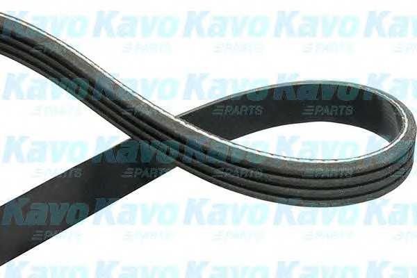 kavoparts dmv6517