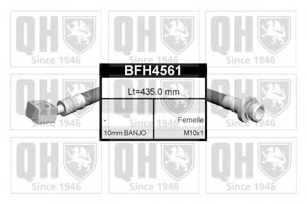 quintonhazell bfh4561