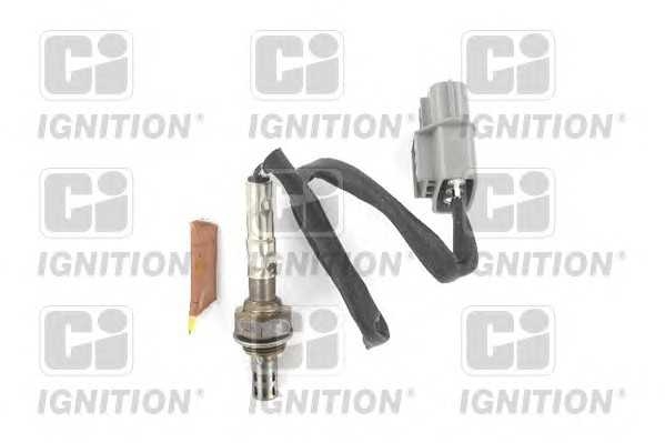 quintonhazell xlos1175