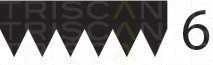 triscan 8640602033